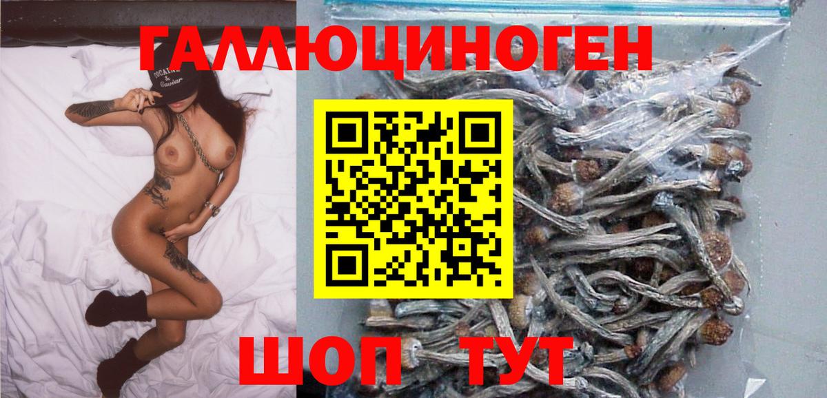 Галлюциногенные грибы Cubensis Тимашёвск
